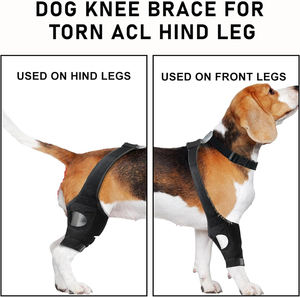 Rodillera para Perros con Rotura de Ligamento Cruzado Anterior, Protector de Patas Traseras, Soporte para Articulación de Cadera, Manga Protectora para Lamer - Product Image 6