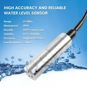 Holykell IP68 Waterproof Dirty Water Rs485 Submersible Water Level Sensor