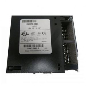 Módulo de Salida Discreta IC693MDL340 al Mejor Precio, Módulo de Salida de 120 V CA para Sistemas Industriales Automatizados - Product Image 1