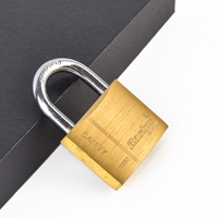 Rarlux Cadenas en Laiton Solide Antirouille Antivol de Sécurité, Meilleure Vente Européenne, Très Demandé
