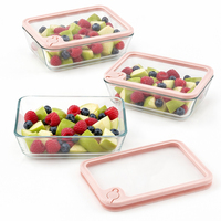 Boîte à lunch empilable en verre borosilicate trempé sans BPA, approuvée LFGB, avec couvercles étanches, compatible micro-ondes et chauffable