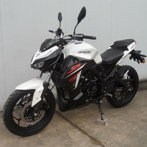 Moto de course sportive avec moteur de moto pour adultes - Product Image 2