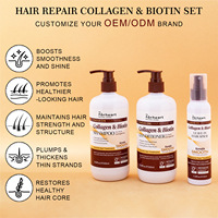Ensemble Shampooing et Après-Shampooing Bio à la Biotine OEM ODM, Shampooing Volumisant, Shampooing Naturel au Collagène Sans Sulfate pour Hommes et Femmes