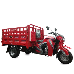 250cc Displacement 3 Wheel Motorcycle Tricycle Motorized Cargo Tricycle Vehicle