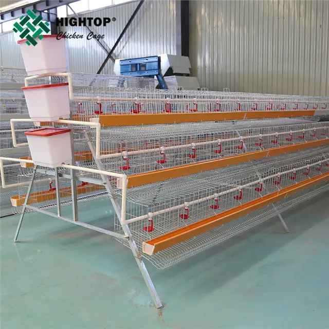 Alambre de Metal galvanizado, 3 niveles, 10000, batería, jaula para pollo, granja avícola, en venta