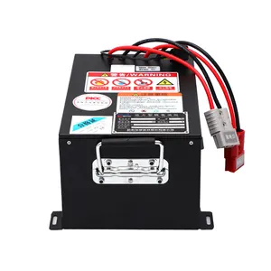 Batteria Lifepo4 a bassa temperatura 48V 50Ah