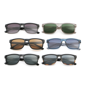Gafas de Sol de Moda con Logotipo Personalizado de Fábrica, Modelo 2026 Clásico, Cómodas, Montura Completa, Ligeras, Protección UV400, para Exteriores - Product Image 6