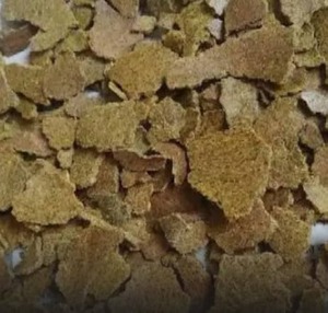 Pastel de Mostaza Más Vendido para Alimentación de Ganado Lechero, Suplemento de Proteínas y Agricultura a Gran Escala, Disponible a Precio Accesible - Product Image 2