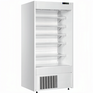 Supermercado Estante de servicio pesado ajustable <span class=keywords><strong>LG</strong></span> Vertical Refrigerador de escaparate de una sola puerta - Product Image 4