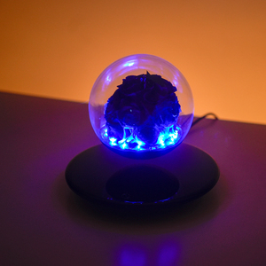 Rosa Eterna Flotante Magnética con Iluminación LED, Decoración Personalizada, Levitación Magnética, Infinita, Estabilizada - Product Image 1