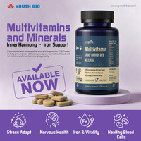 Comprimés Quotidiens de Multivitamines et Minéraux avec Vitamine D3 pour une Couverture Complète au Quotidien des Modes de Vie Actifs – Fournisseur Stable, Prêts à l'Expédition