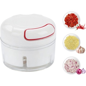 Stainless Steel Garlic Press Heavy Duty Crusher with Peeler - Easy Clean Ergonomic <b>Kitchen</b> <b>Tool</b> Dishwasher Safe No Mess - Product Image 1