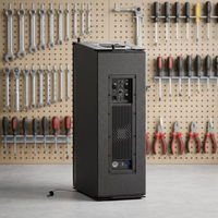 Haut-parleur Line Array 2 voies de 10 pouces avec amplificateur DSP intégré pour événements en direct