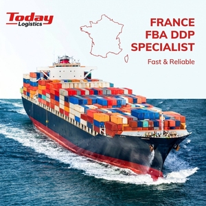 Transitario Profesional de Carga de China a Francia para FBA con Servicios Rápidos de Transporte Marítimo - Product Image 1