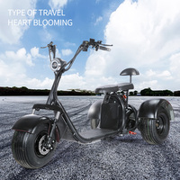 Scooter électrique à 3 roues pour adultes, certifié DOT 2025, 60V 12AH, vente en gros, pas cher, chinois, tricycle, moto