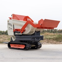 Kleiner Raupentransporter mit Gasantrieb und Selbstladefunktion Mini-Dumper