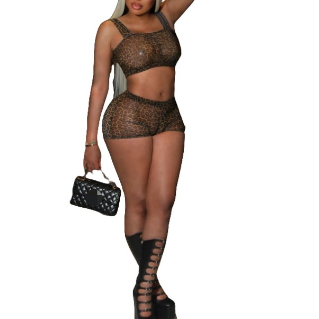 เสือดาว