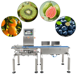 Báscula Dinámica en Línea SUK SK-220 de Alta Precisión 0.1g, Máquina de Pesaje Industrial con Cinta Transportadora, OEM ODM - Product Image 1