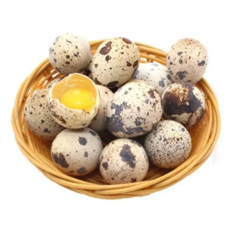 Best selling Quail Eggs in a