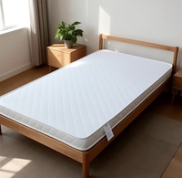 Matelas en mousse haute densité populaire et économique pour chambre, hôpital, école et usage domestique - Doux, écologique, emballé en rouleau
