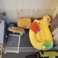 Boîte pour animaux de compagnie, chiens, chats, petits animaux, écologique, durable, solide, épaisse, chaude, hivernale, semi-fermée, en cristal, super douce, avec poignée en feuille verte