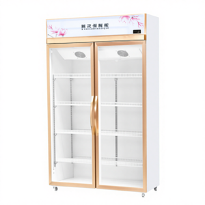 Refrigerador Profesional para Maduración en Seco <span class=keywords><strong>de</strong></span> Carne <span class=keywords><strong>de</strong></span> Res XUELE, <span class=keywords><strong>Vitrina</strong></span> <span class=keywords><strong>de</strong></span> <span class=keywords><strong>Dos</strong></span> <span class=keywords><strong>Puertas</strong></span> para Maduración, para Uso en Cocina - Product Image 1