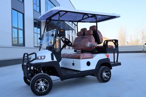 Voiture de golf blanche personnalisée de haute qualité à 4 places avec phares LED, caméra de recul pour tous les scénarios et utilisation quotidienne - Product Image 2