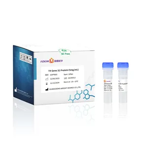 Diagnóstico Molecular T4 Gene 32 Enzima Proteica RT-PCR