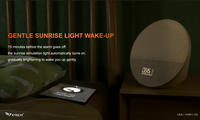 Multifunctionele LED-wekker voor V5.0 oplaadbare batterij Draadloze luidspreker Zonsopgangsimulatie Verlichting in één kleur