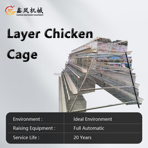 Équipement d'élevage de volaille Cage à poulet un type 10000 couche poulets ferme cage à oiseaux à vendre - Product Image 3