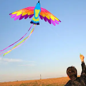 New Luminous Led Kite Adult Children Large Colorful Phoenix Kite Reel Tools Toys Eagle Animal Flying Kites