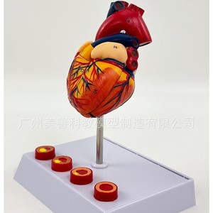 4/ - Product Image 5