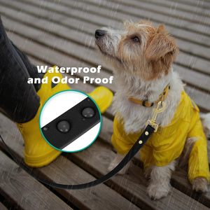 High Quality OEM Custom Luxury Fashion Personalized Logo Rivet Adjustable PU Leather Padded Print <b>Dog</b> <b>Collar</b> and Leash Set - Product Image 2