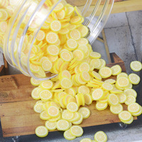 Angel Eco-vriendelijke DIY polymeerklei oceaanpatroon huisdecoratie miniatuur nep charme vulling fruitschijfjes knutselwerk op maat gemaakte vorm