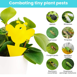 แมลงกัดแทะเชื้อรา30ชิ้นแบบกำหนดเองกับดักเหนียวสำหรับพืชที่แขวนกาวกับดักแมลงวันกับดักเหนียวสีเหลืองสำหรับตัวแทะ - Product Image 6