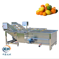 Aangepaste 2025 Nieuwe Ontwerp Automatische Dragon Fruit Wasmachine Luchtbel Reiniging Groente Wasmachine 304 Roestvrij Staal