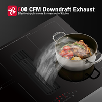 Table de cuisson à induction encastrable avec hotte 76 cm 7400 W, aspiration ultra-élevée et séparation des fumées d'huile