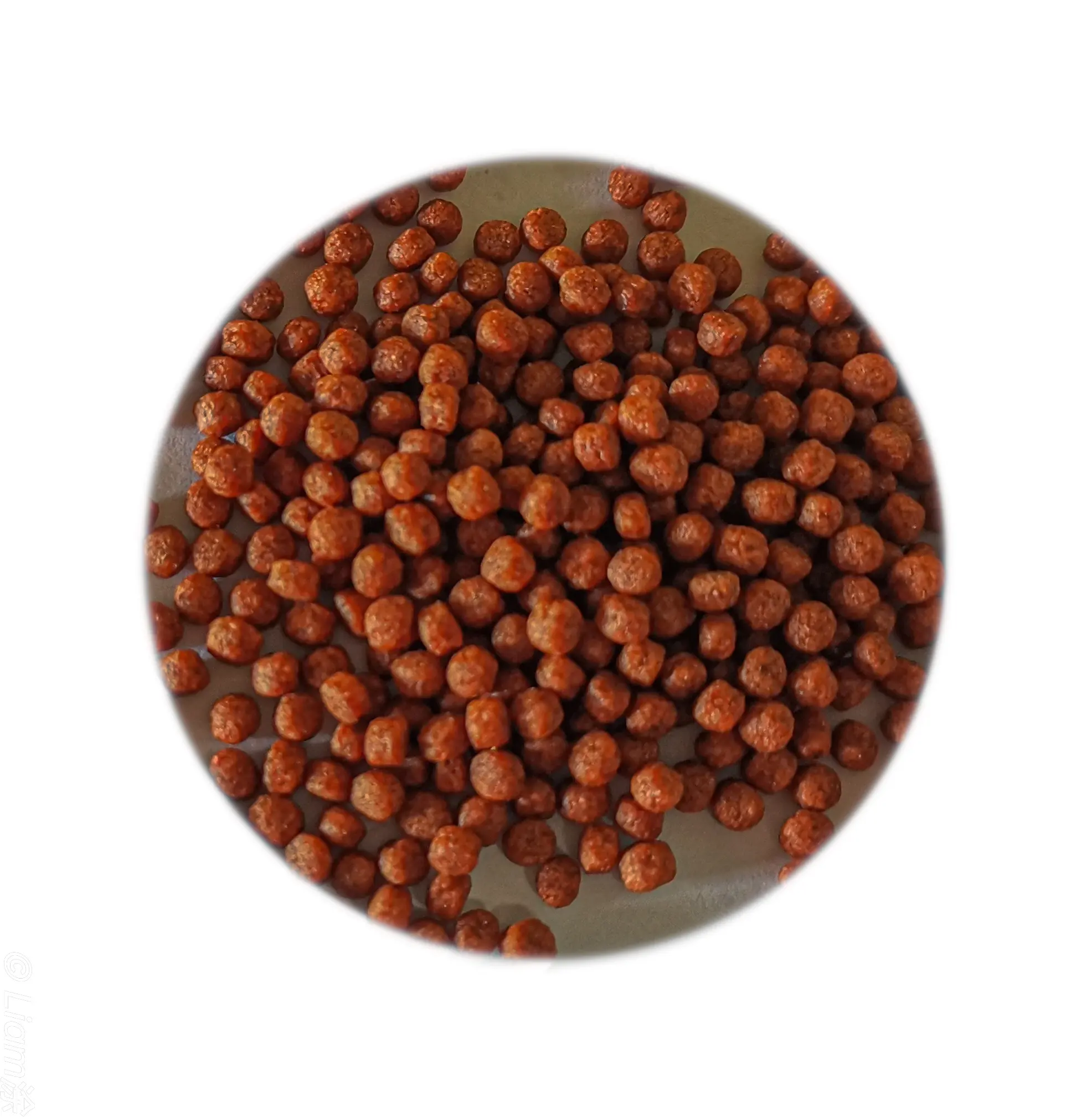 High-nutrient high-protein tropical fish pellets for fish