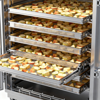 Four de séchage multi-combustibles en acier inoxydable BAOYANG pour la déshydratation des fruits et légumes