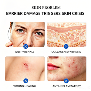 Suero Facial Avanzado NESANDA con Péptidos de Cobre Azul Liofilizado, Antiarrugas, Estimulante de Colágeno, Antiinflamatorio para Heridas - Product Image 3