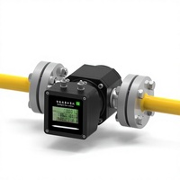 Yunyi LPG Roots Flow Meter High Precision Rotary Gas Flowmeter for LPG Station Tanker Truck CNG Biogas Measurement