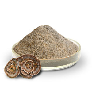 उच्च शुद्धता पॉलीसैकेराइड केरिटिन संयंत्र निकालने ट्रेमेटस वर्सिकोलर निकालने वाला पाउडर - Product Image 2