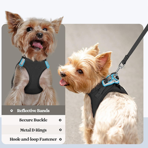 Custom Dog Harness With Leash Set Fast Drying Puppy Vest Adjustable Leash Reflective Stripes <b>Step</b>-In Breathable Mesh Dog Harness - Product Image 6