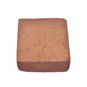 [2023] - Product Image 1