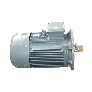 3 Fase Industrie Elektrische Motor 55 Kw 90kw 132 Kw Ac Inductie Motor