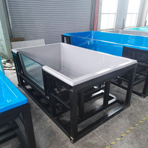 Piscine extérieure avec conteneur en acrylique transparent, piscine au sol, piscines de rééducation à eau froide et chaude, piscine à structure - Product Image 5