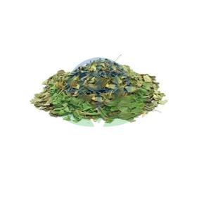 Oferta Especial: Hojas de Moringa Frescas, Orgánicas y Naturales Secadas al Aire para Preparación de Té, Procesamiento de Polvo y Productos para la Salud, Disponibles para Exportación - Product Image 1