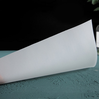 Rouleaux de feuilles fines en polypropylène, matériau en feuille PP, feuille en PP naturel, feuille texturée en PP