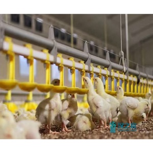 Pipettes d'abreuvement automatiques neuves de haute qualité pour poulets, en plastique, débit de 1,5 à 2,5 <span class=keywords><strong>L</strong></span>/min, garantie 1 an - Product Image 5