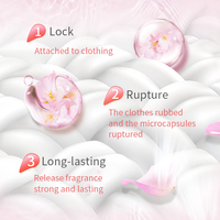 Détergent à lessive liquide à parfum floral puissant et écologique, vente chaude en Chine, pour l'utilisation des vêtements